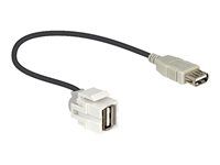Modul - USB typu A