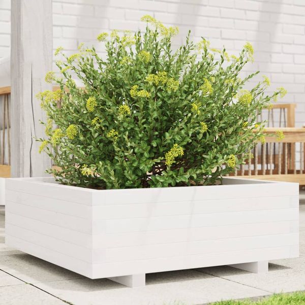 vidaXL Záhradný kvetináč biely 70x70x26,5 cm masívna borovica