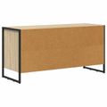 vidaXL TV skrinka 100 x 36 x 49,5 cm Sonoma Kompozitné drevo