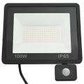 vidaXL LED reflektor so senzorom 100 W studené biele svetlo