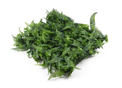 Umelá zelená stena G21 Listo Ferns, 50x50 cm