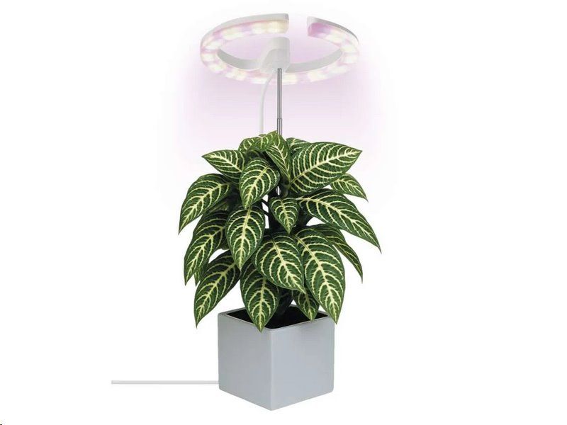 Pozemná lampa EMOS Z7902 LED GROW 8 W, časovač, stmievateľná, biela