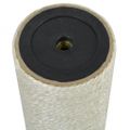 vidaXL Stĺpik na škrabanie pre mačky, 8x55 cm, 10 mm, béžový