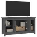 vidaXL TV skrinka sivá 103x36,5x52 cm masívna borovica