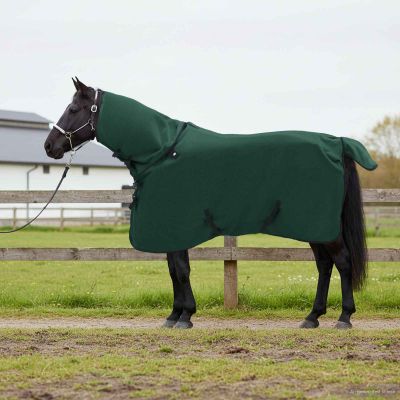 vidaXL Plášť pre kone Plná tmavozelená 85 cm Polyester