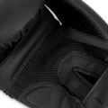 Boxerské rukavice DBX BUSHIDO B-2v21 12 oz