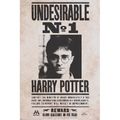 Plagát Harry Potter - Undesirable č. 1