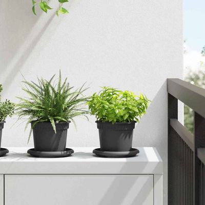vidaXL Kvetináče 6 pcs Čierna Ø 12,5 x 10 cm Plast