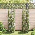 vidaXL Pergola na popínavé rastliny, 2 ks