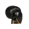 Boxerské rukavice DBX BUSHIDO B-2v10 10 oz