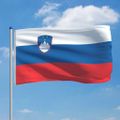 vidaXL Slovinská vlajka a stĺp 6 m hliníkový