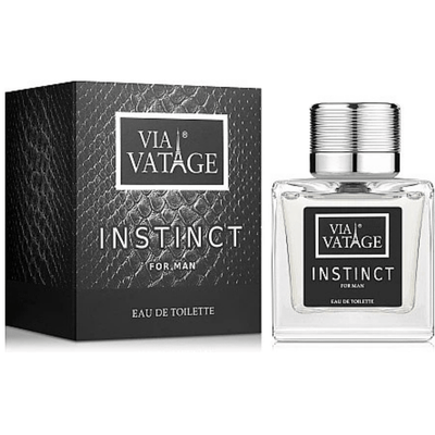 BI-ES VIA VATAGE INSTINCT pánska toaletná voda 100 ML