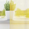 vidaXL Voálové závesy s priechodkami 2 ks Žlté