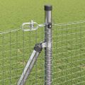 vidaXL Zvarené drôtené pletivo s betónovým základom 50 x 0,8 m