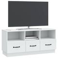 vidaXL TV skrinka Biela 102 x 34,5 x 47 cm Kompozitné drevo