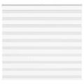 vidaXL Zebra roleta biela 155x100 cm šírka látky 150,9cm polyester