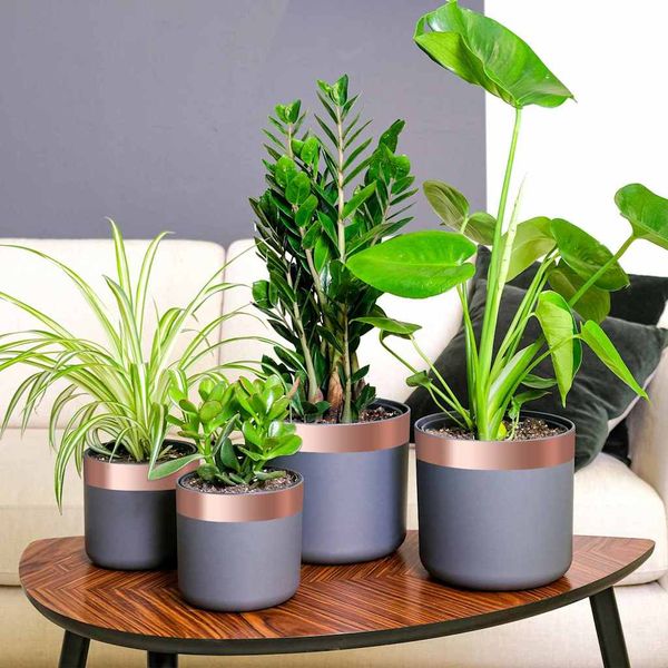 vidaXL Medená páska na ochranu proti slimákom 6 pcs Medená Medená