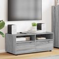 vidaXL TV skrinka 100 x 48 x 43 cm Sivý Sonoma Kompozitné drevo