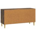 vidaXL TV skrinka 99 x 34,5 x 50 cm Dymový dub Kompozitné drevo