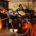 vidaXL Halloweenová dekorácia pavúka s pavučinami 2 ks Čierna a biela