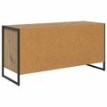 vidaXL TV skrinka 100 x 36 x 49.5 cm Remeselnícky dub Kompozitné drevo