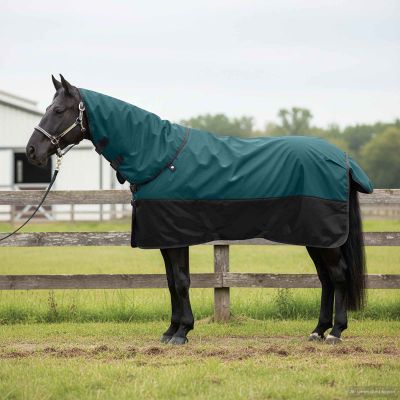 vidaXL Plášť pre kone Tmavozelená a čierna 115 cm Polyester