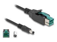 PoweredUSB cable male 12 V to DC 5.5 x 2