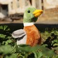 Plyšová kačica divá 21 cm ECO-FRIENDLY