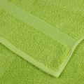 vidaXL Prémiové umývacie utierky SOLUND 2 ks jablkovo zelené 30x30 cm 600 g/m²