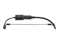 Dongle Cable Tether (CONNLOCKPK20) - Bezpečnostný kábel - strieborná - 30 cm - kompatibilný s TAA