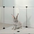 vidaXL Klietka pre malé zvieratá priehľadná 144x74x46,5 cm PP a oceľ