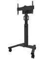 Neomounts Select FL50S-825BL1/Držák displeje/vozík/37-75"/4 kolečka/VESA 600X400/nosn. 70kg/nast.výšky/náklon/černý Stojan, VESA, na koleckách, pro velkoformátový displej 37"–75", nosnost 70kg, výškove nastavitelný, cerný