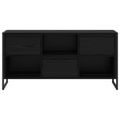 vidaXL TV skrinka 100 x 36 x 49,5 cm Čierny dub Kompozitné drevo