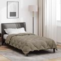 vidaXL Zimný prehoz 155 x 200 cm 450 gsm Mikrovlákno (100% polyester)