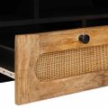 vidaXL TV skrinka Hnedá 100 x 33 x 46 cm Masívne mango drevo