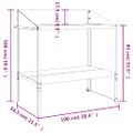 vidaXL Stojan na rastliny antracitový 100x54,5x100 cm pozinkovaná oceľ