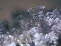 Stereomikroskop Bresser Erudit ICD