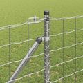 vidaXL Európsky plot s hrotmi 25 x 1,2 m Pozinkovaná oceľ Strieborná