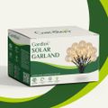 Solárna dekoračná reťaz girlanda 6m, 2V, IP44 Gardlov 23864