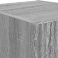 vidaXL TV nástenná skriňa 30 x 31 x 100 cm Sivý Sonoma