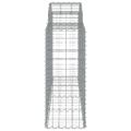 vidaXL Oblúkové gabiónové koše 40 ks 200x50x100/120cm pozinkov. železo