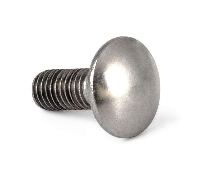 Skrutka G21 vratový M10x25, DIN 603, nerez