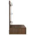 vidaXL Zrkadlová skrinka s LED dub sonoma 60x31,5x62 cm