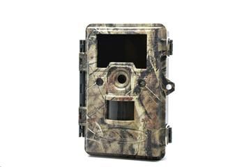 Forestcam FOXcam FORESTER foto pasca