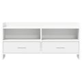 vidaXL TV skrinka 100 x 33 x 47 cm Biela Kompozitné drevo
