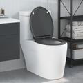 vidaXL WC sedadlo Antracitová 45,5 x 37,5 x 3,8 cm Duroplast