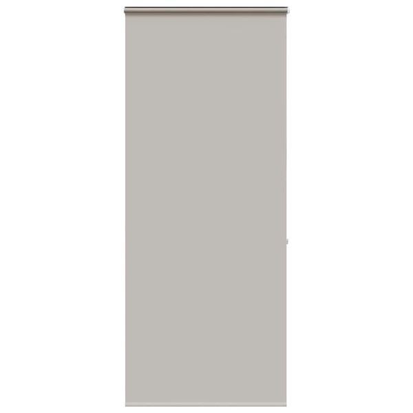 vidaXL Sprchová roleta s kazetou, 100x240 cm, šírka látky 96 cm