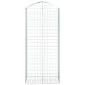 vidaXL Oblúkový gabionový kôš 100x50x220/240 cm pozinkované železo