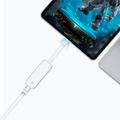 TP-link UE300C, Sieťová karta USB Type C / LAN