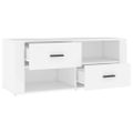 vidaXL TV skrinka biela 100x35x40 cm spracované drevo
